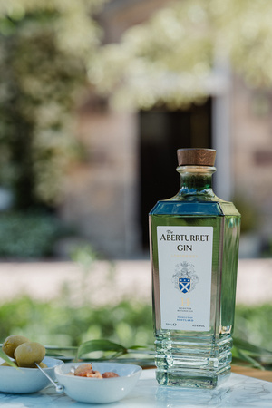 The Aberturret Gin & Tonic