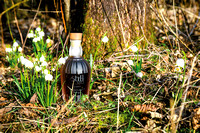 Still Life Spring 2023